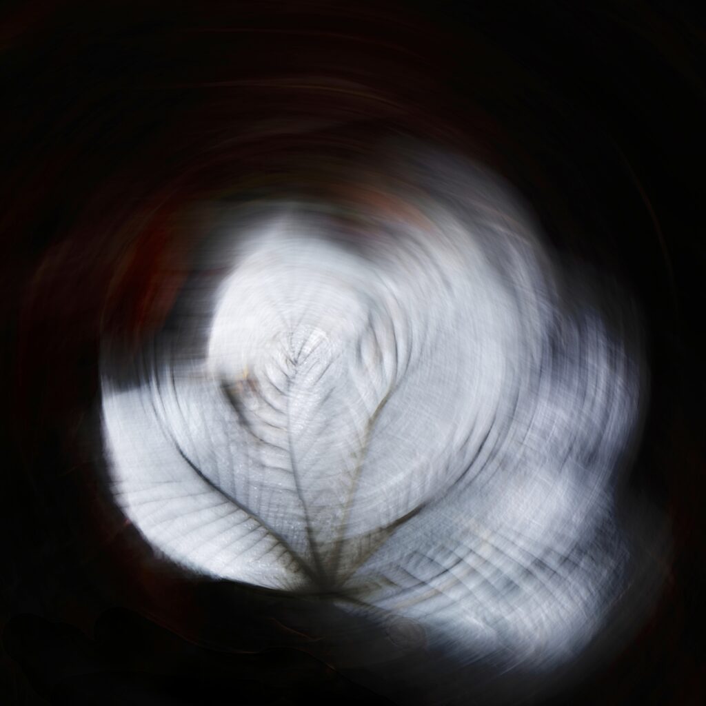 Abstract Photography, Spiritual Photography
