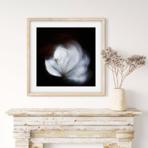 abstract photography, spiritual photography